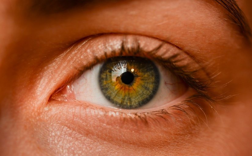 Oczy to niezwykły organ. To dokładnie dzięki nim widzimy.